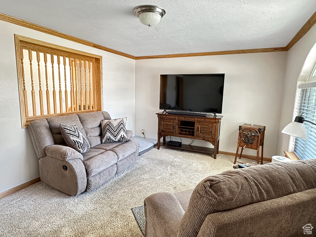 Carpeted living room with ornamental molding, a textured ceiling, and baseboards