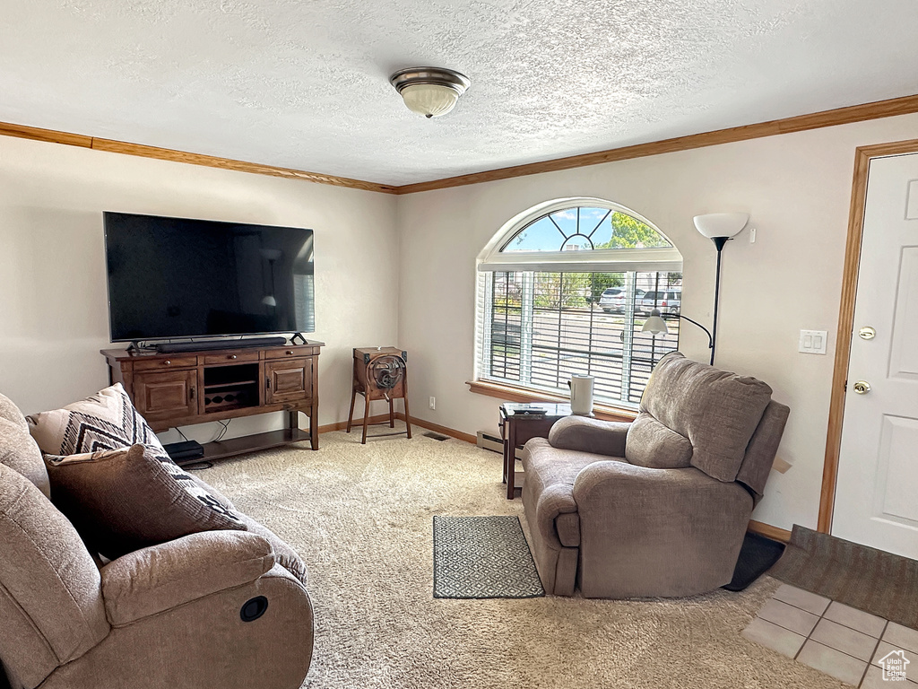 Living area featuring crown molding, carpet flooring, baseboards, and a textured ceiling