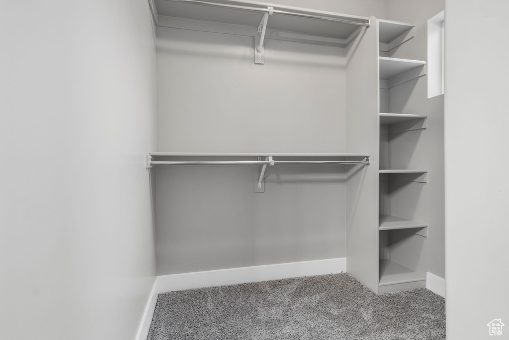Spacious closet with carpet