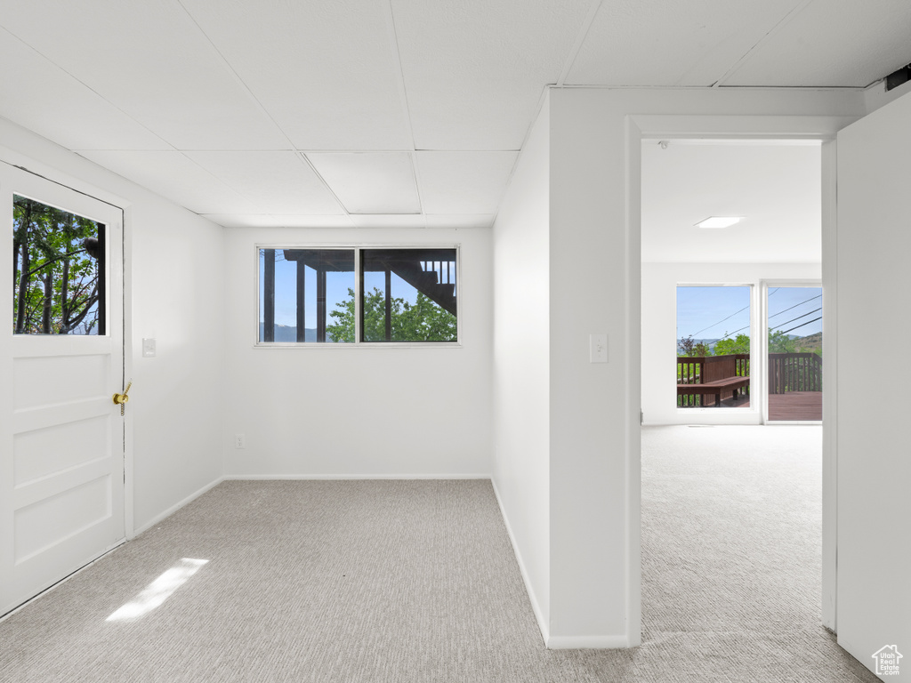 Unfurnished room featuring carpet floors and plenty of natural light