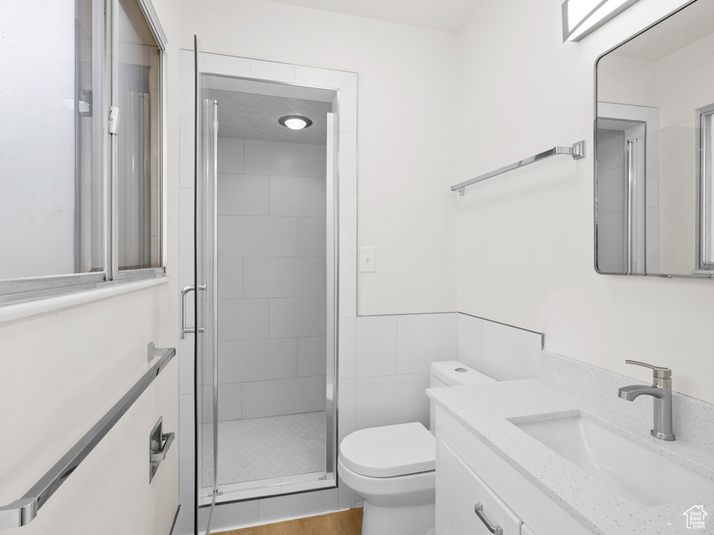 Full bathroom featuring toilet, a stall shower, and vanity