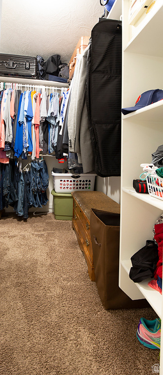 View of walk in closet