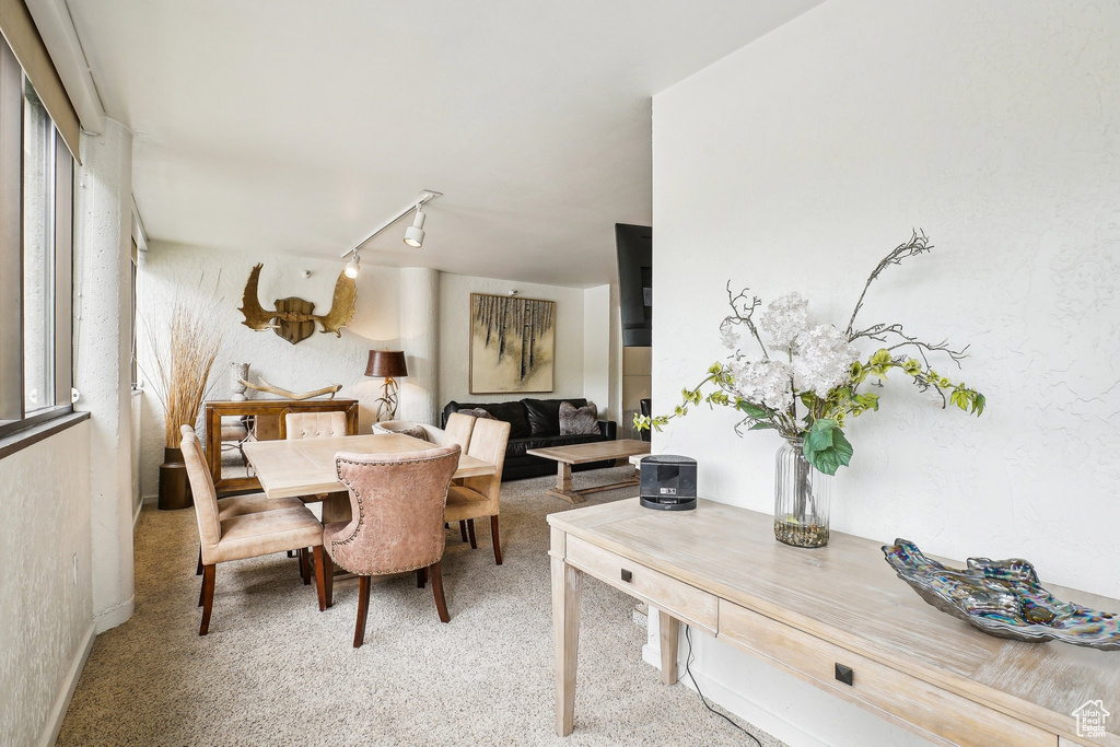 Carpeted dining space featuring track lighting and baseboards