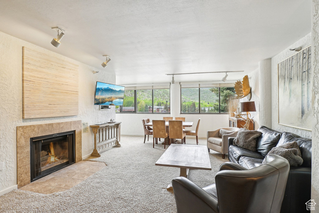 Living room featuring rail lighting, carpet flooring, and a fireplace