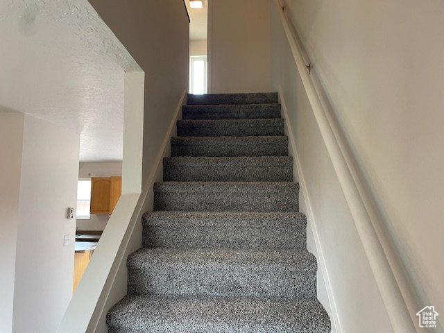 Stairway with healthy amount of natural light