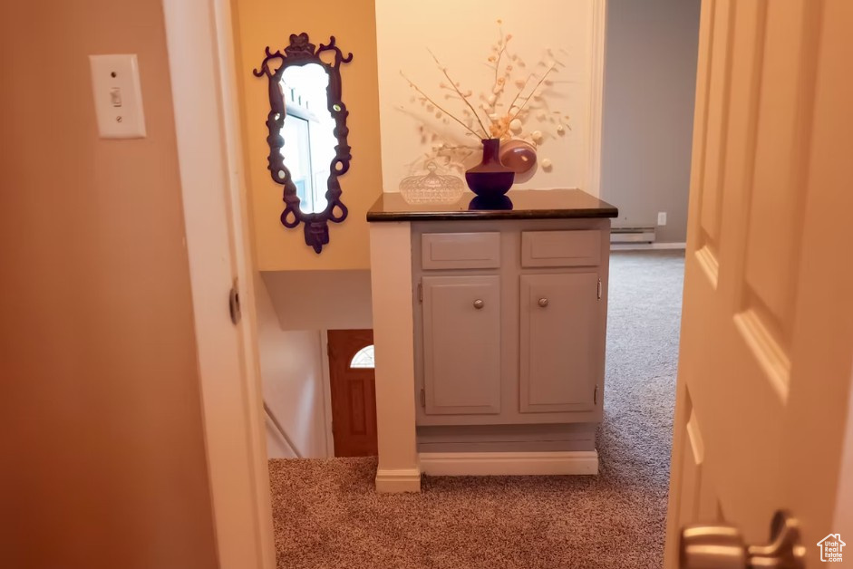 Hall featuring carpet flooring and a baseboard radiator
