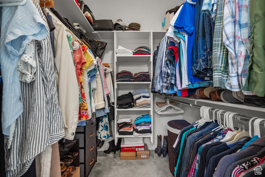Spacious closet with carpet floors