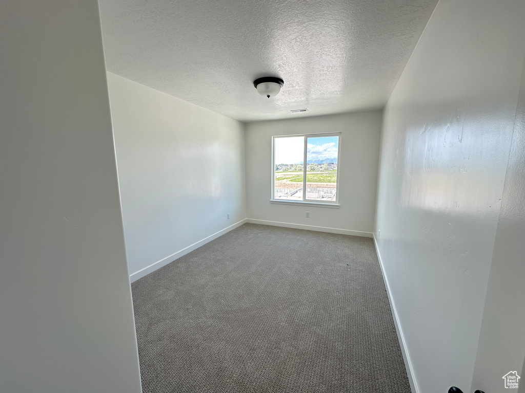 Carpeted spare room with a textured ceiling and baseboards