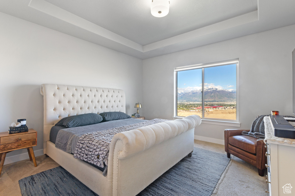 Bedroom featuring light colored carpet, a raised ceiling, and baseboards