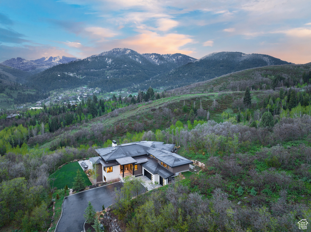 View of mountain background featuring a heavily wooded area