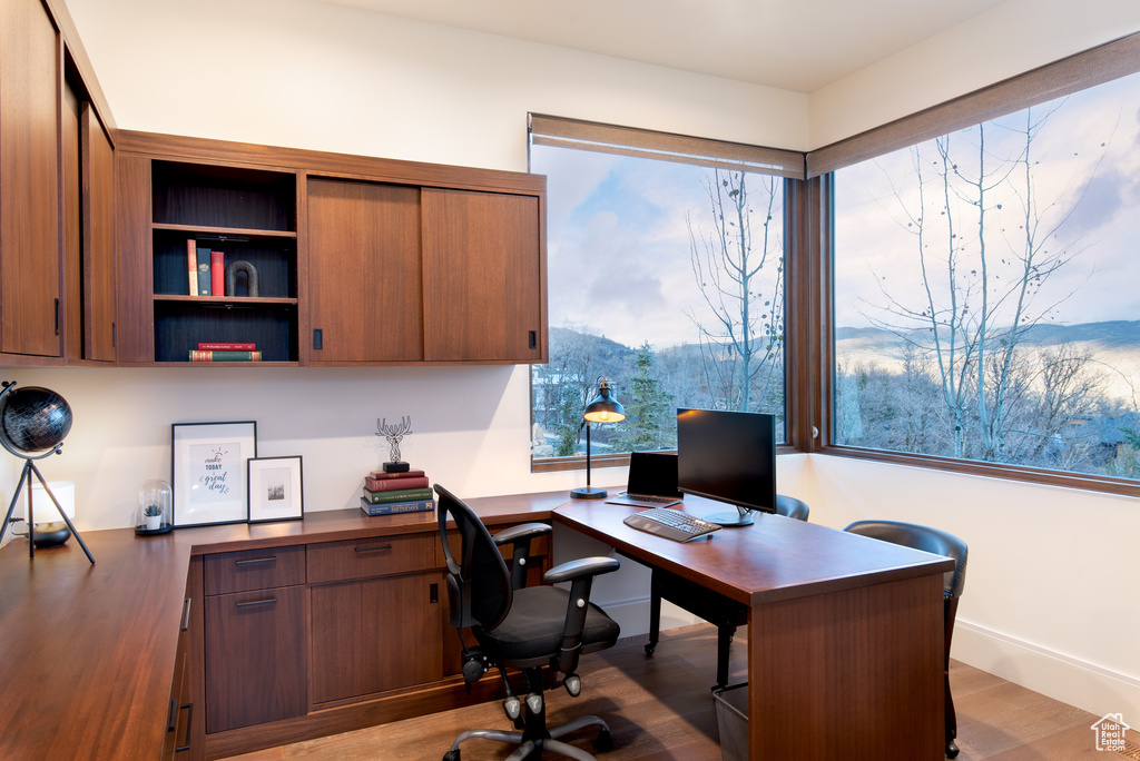 Office with wood finished floors