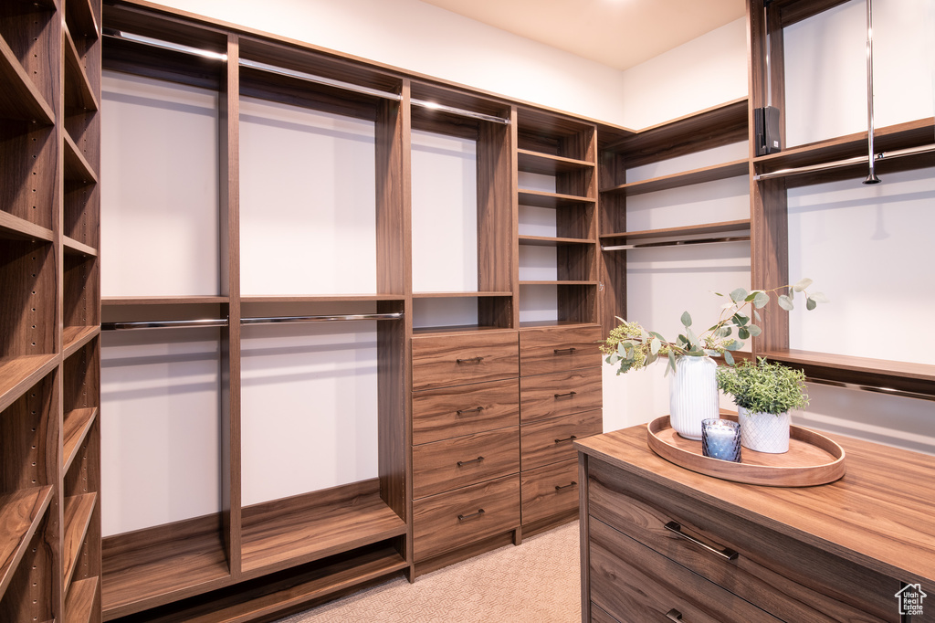 View of walk in closet