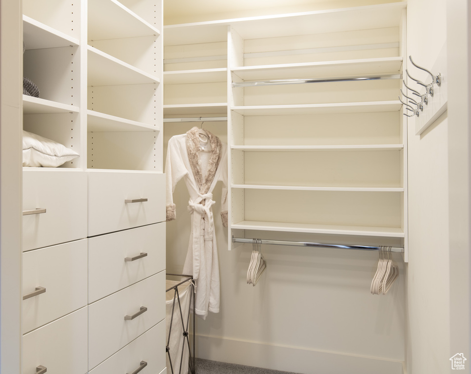 View of walk in closet