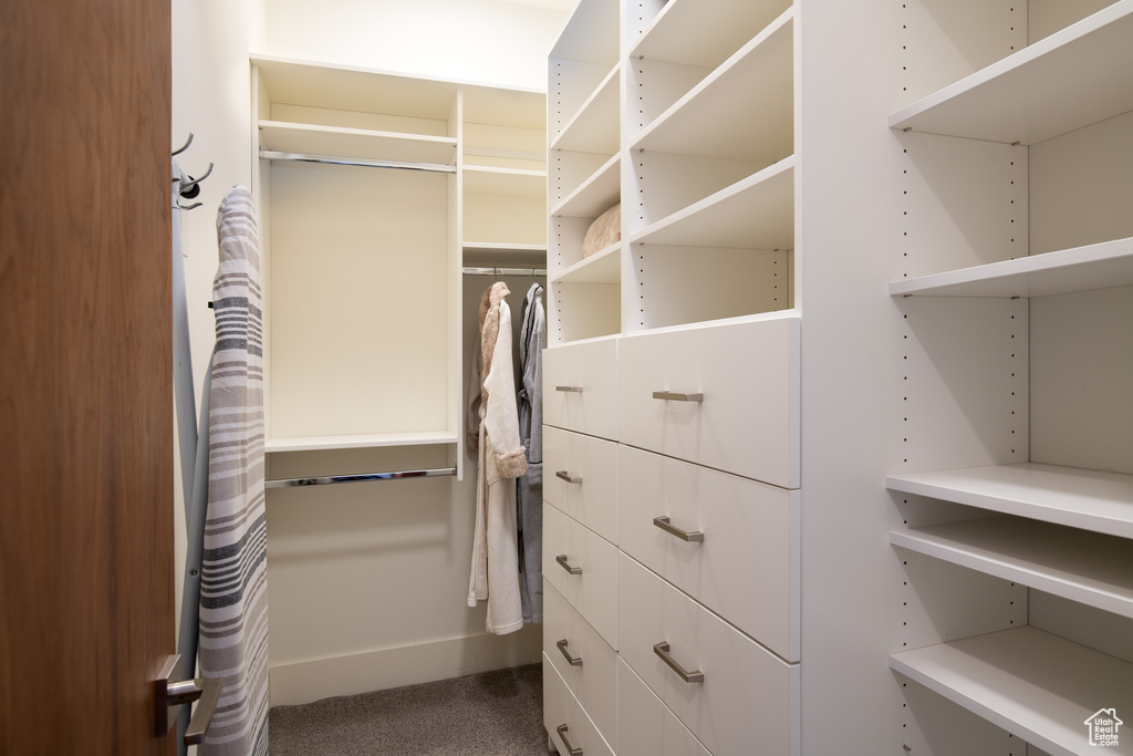 Walk in closet with dark colored carpet