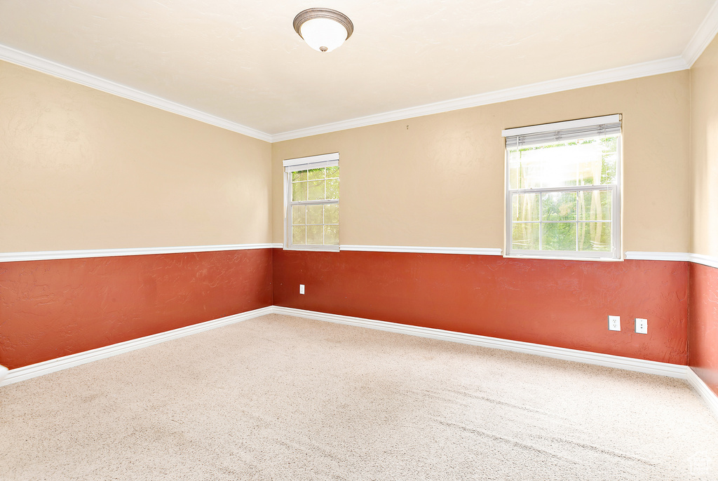 Carpeted empty room featuring crown molding and baseboards