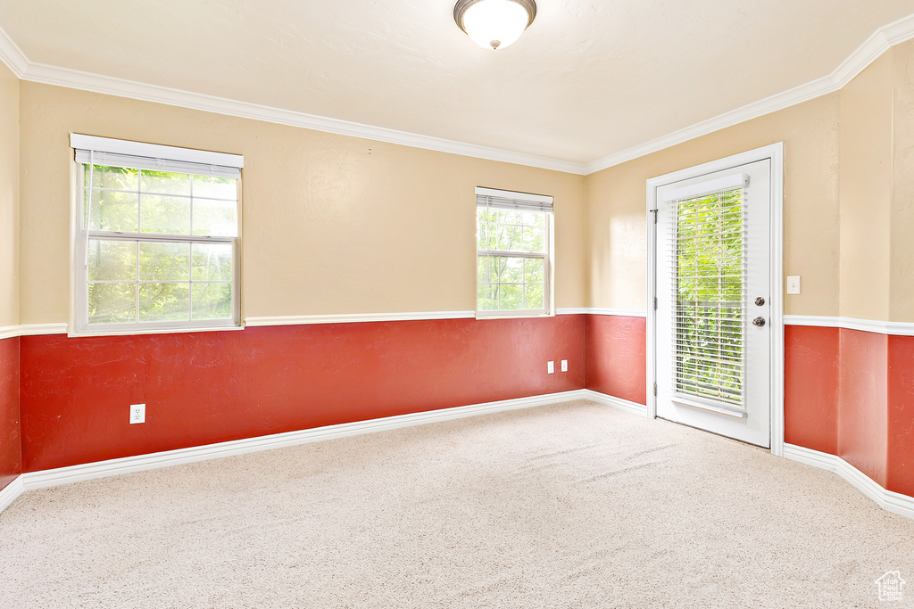 Carpeted spare room featuring crown molding and baseboards