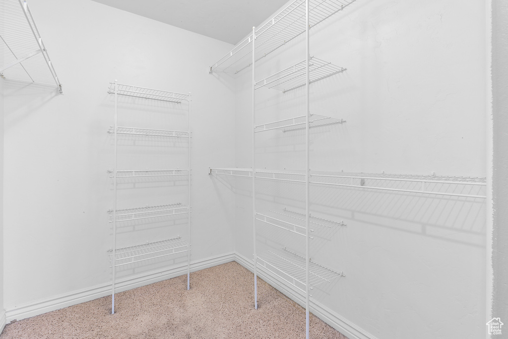 Spacious closet featuring carpet flooring