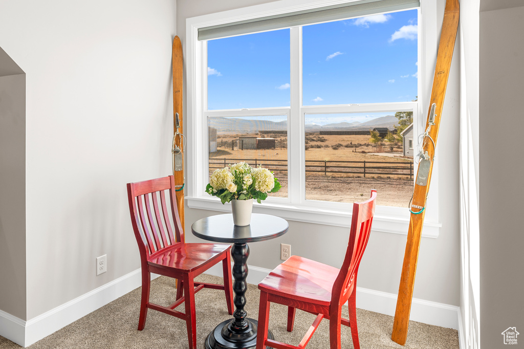 Dining area featuring carpet floors, healthy amount of natural light, and baseboards