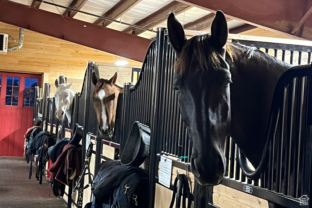 View of stable