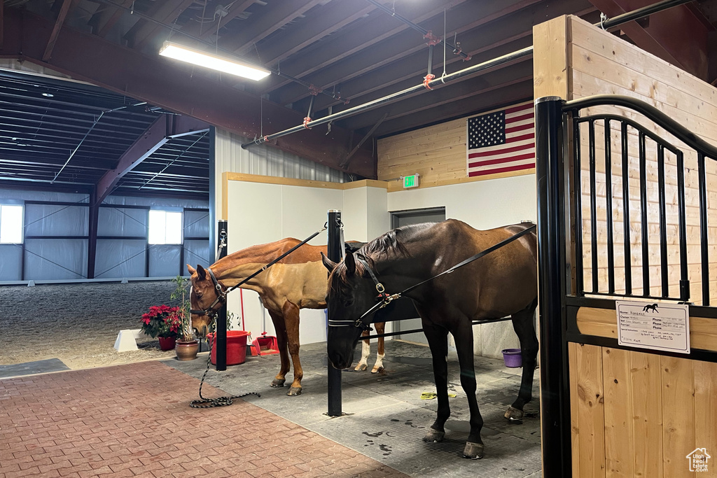 View of horse barn