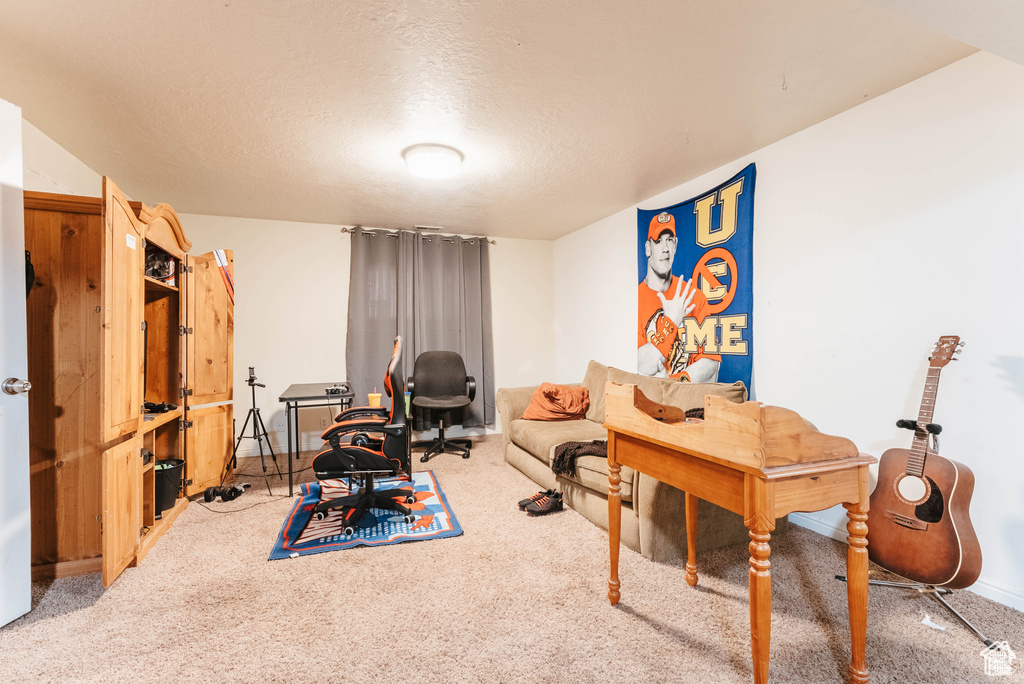 Office space featuring carpet flooring and a textured ceiling