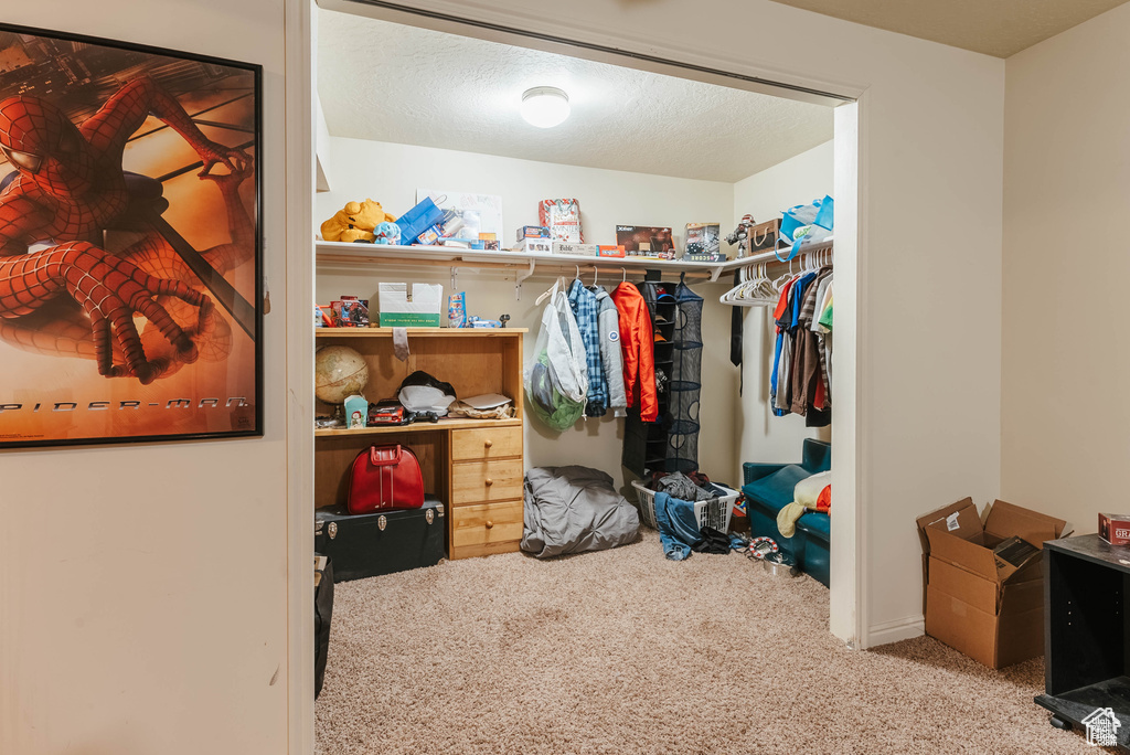 Spacious closet with carpet flooring