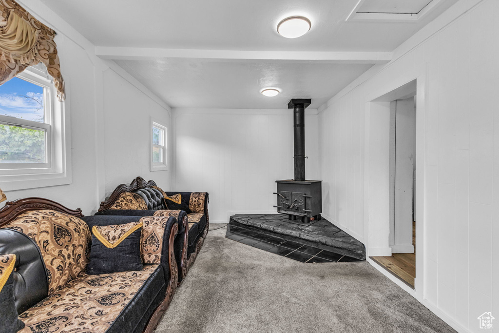 Carpeted living room featuring a wood stove and healthy amount of natural light