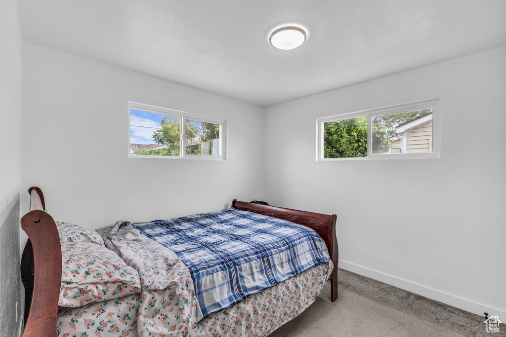 Bedroom with multiple windows, carpet, and baseboards