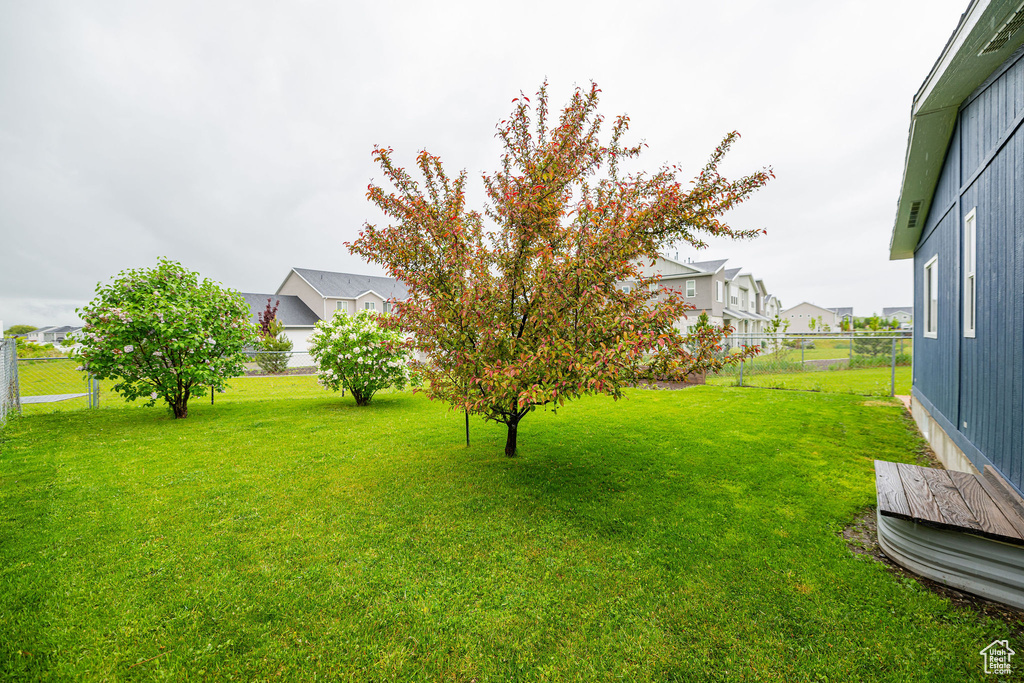 View of yard with a residential view