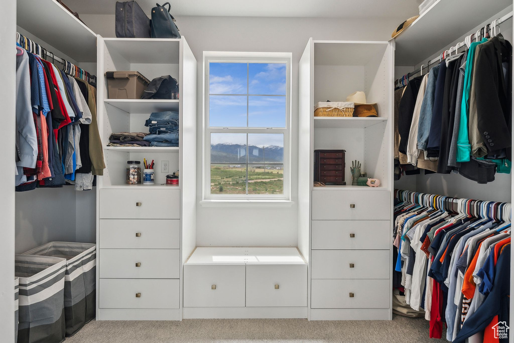 Walk in closet featuring carpet floors