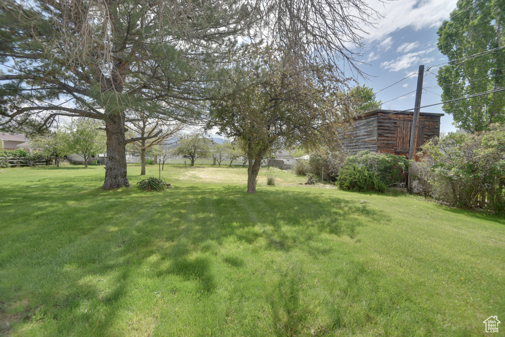 View of grassy yard