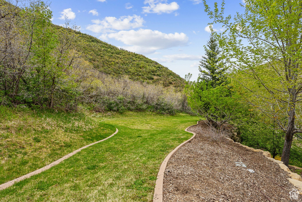 View of green lawn with a mountain view
