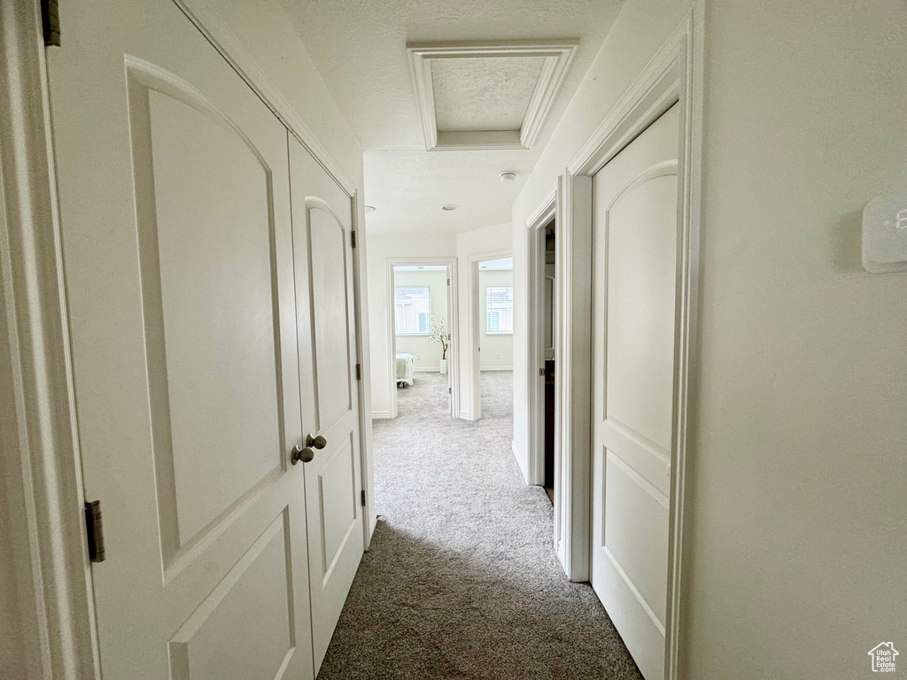 Corridor with carpet flooring