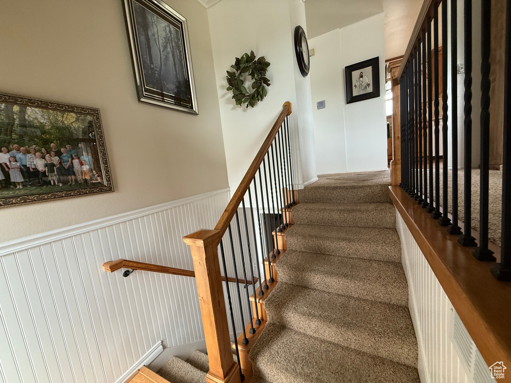 Staircase with carpet