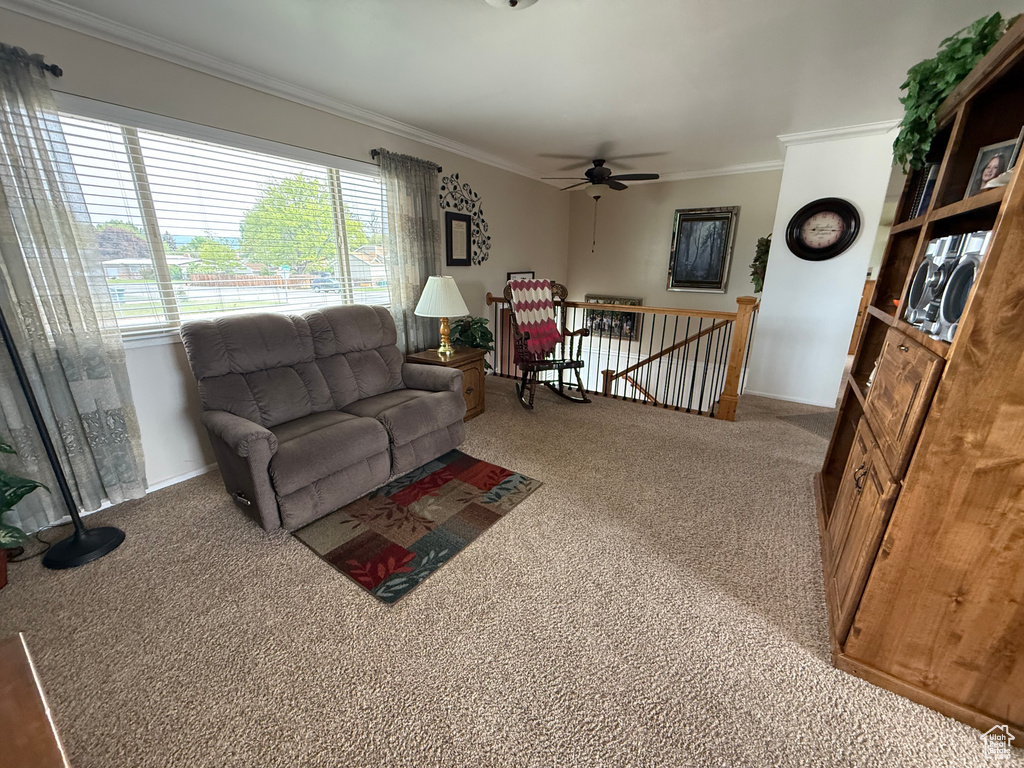 Living area with carpet, crown molding, and ceiling fan