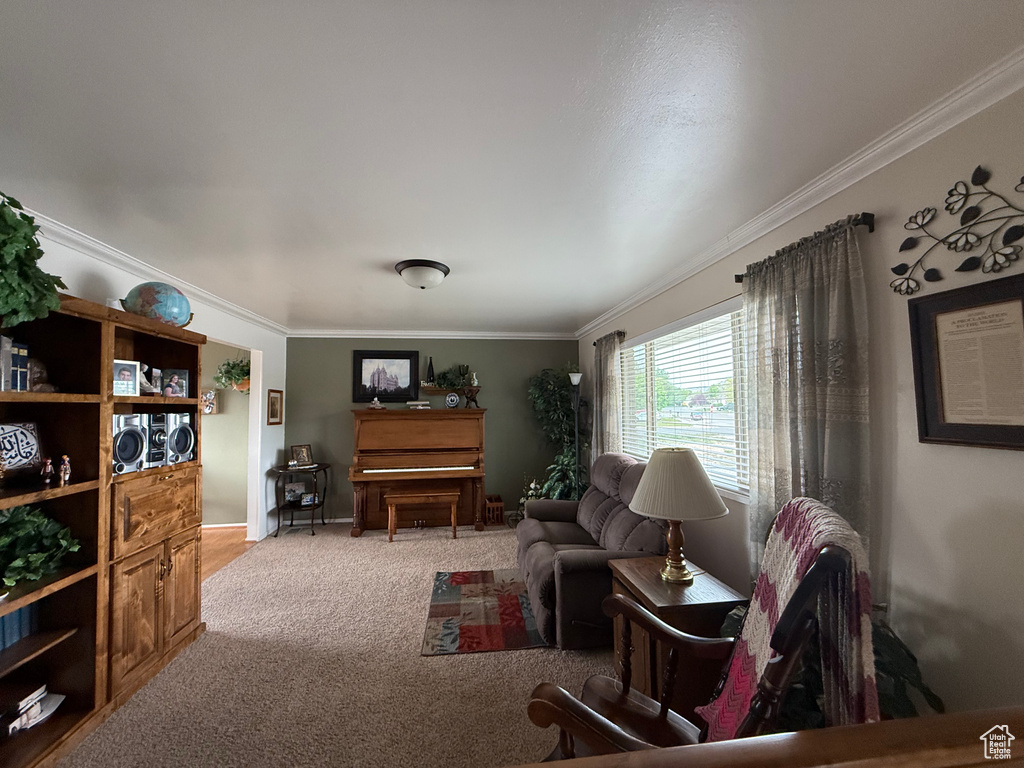 Living room featuring ornamental molding and carpet floors