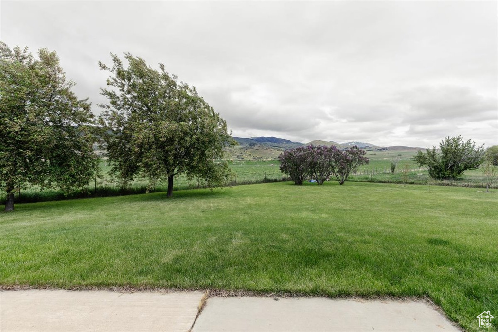 View of green lawn