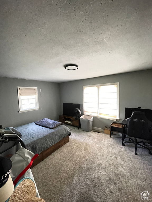 Carpeted bedroom with a textured ceiling and a desk