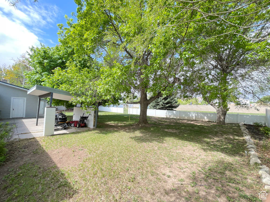 View of yard