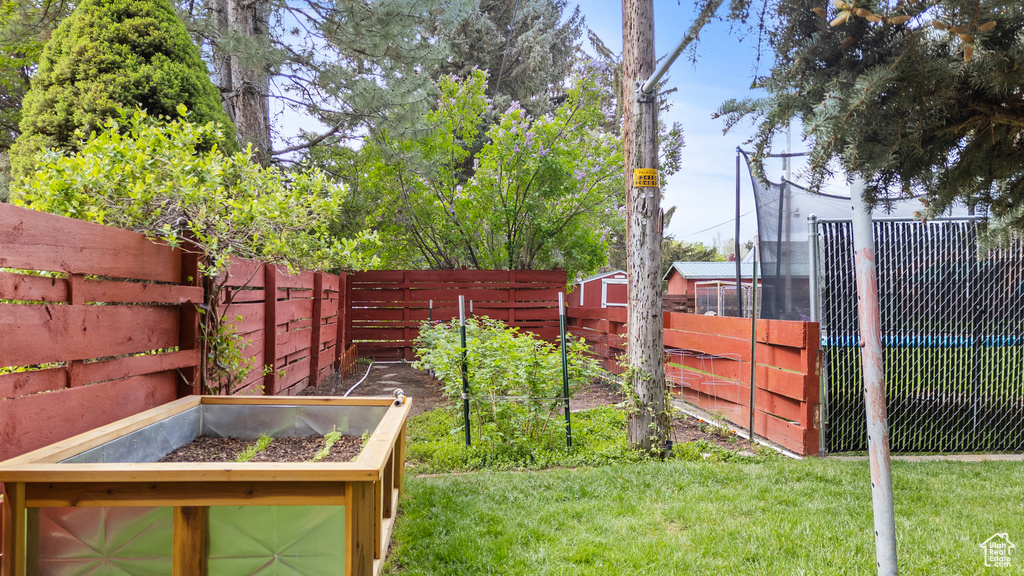 View of yard with a vegetable garden