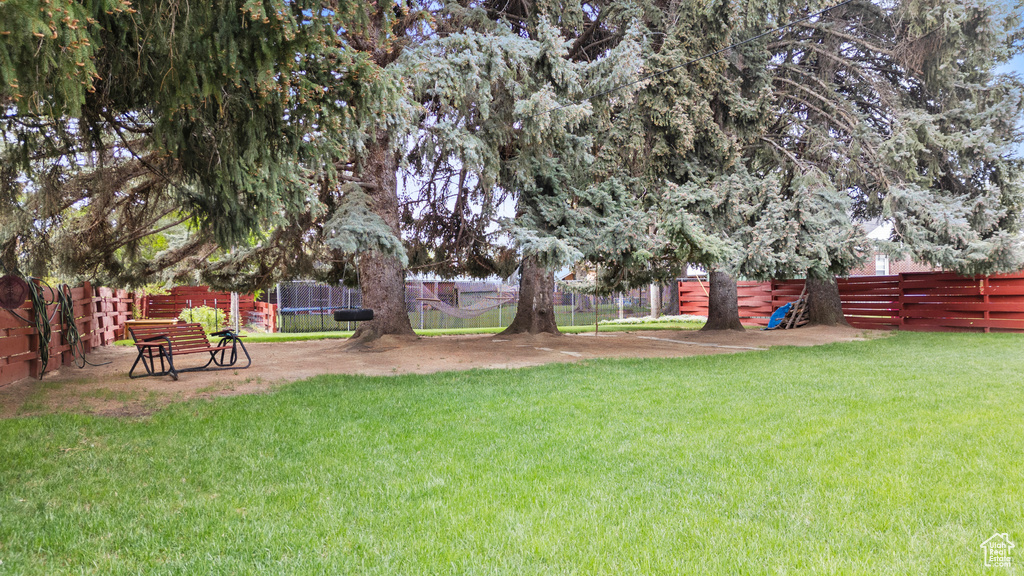 View of yard with a trampoline