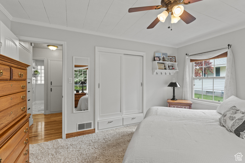 Bedroom with multiple windows, ornamental molding, light wood-style flooring, and a ceiling fan