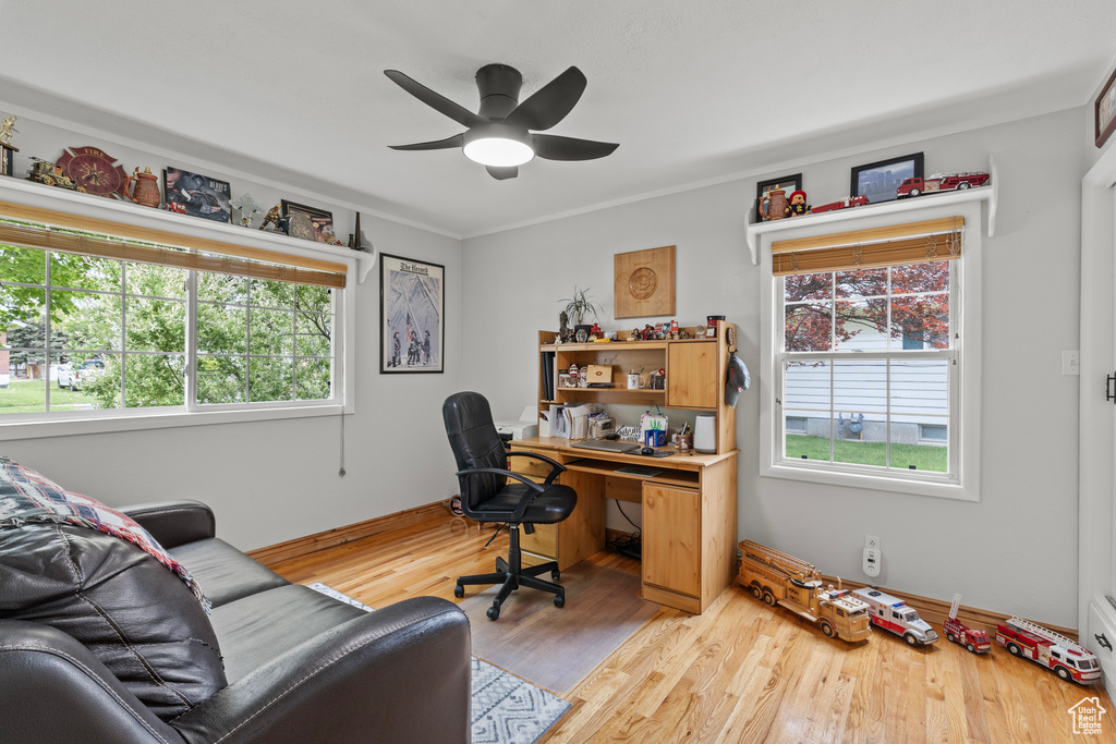 Office with wood finished floors, plenty of natural light, ceiling fan, and ornamental molding