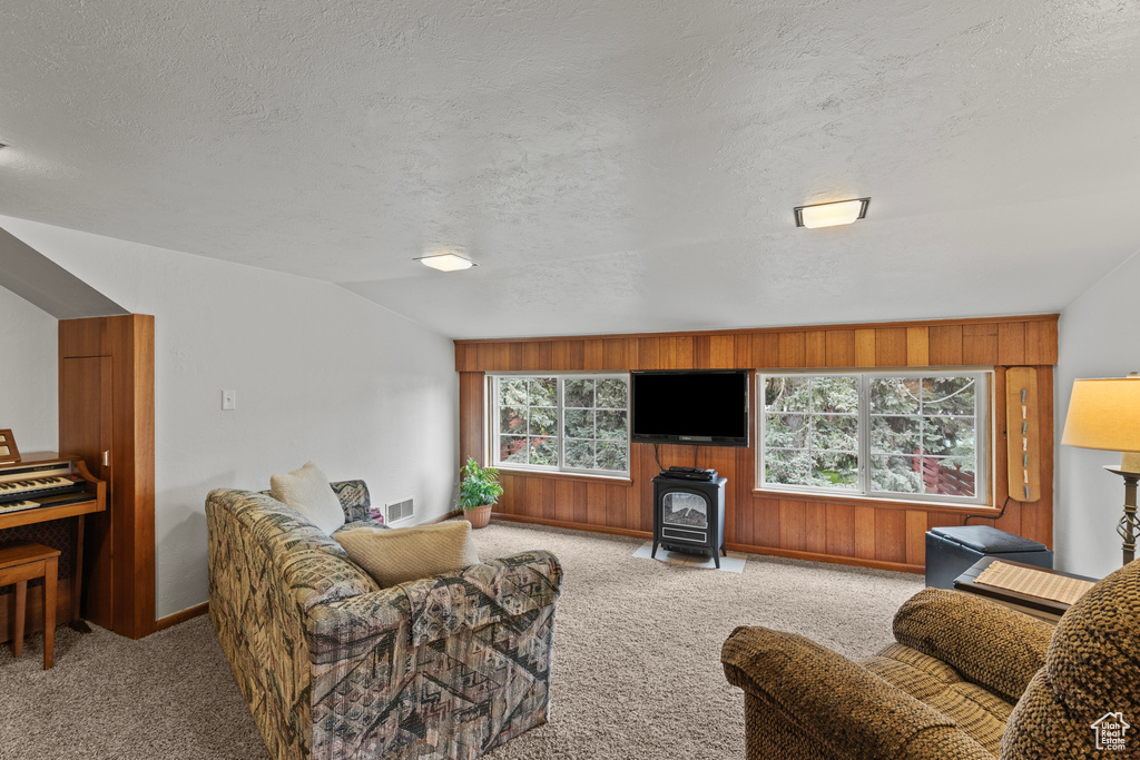 Living area featuring carpet, a wood stove, a textured ceiling, wood walls, and baseboards