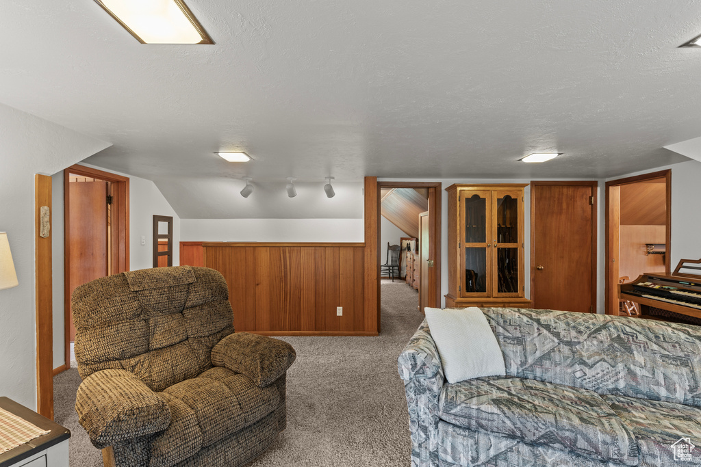 Carpeted living room with a textured ceiling