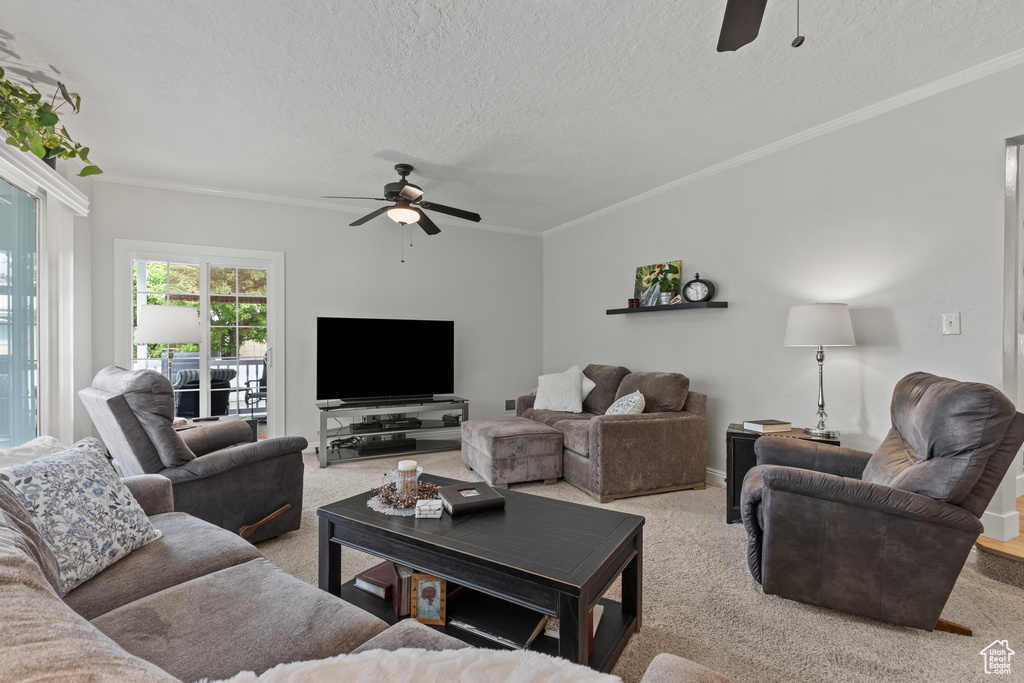 Living room with a ceiling fan, light carpet, a textured ceiling, ornamental molding, and baseboards