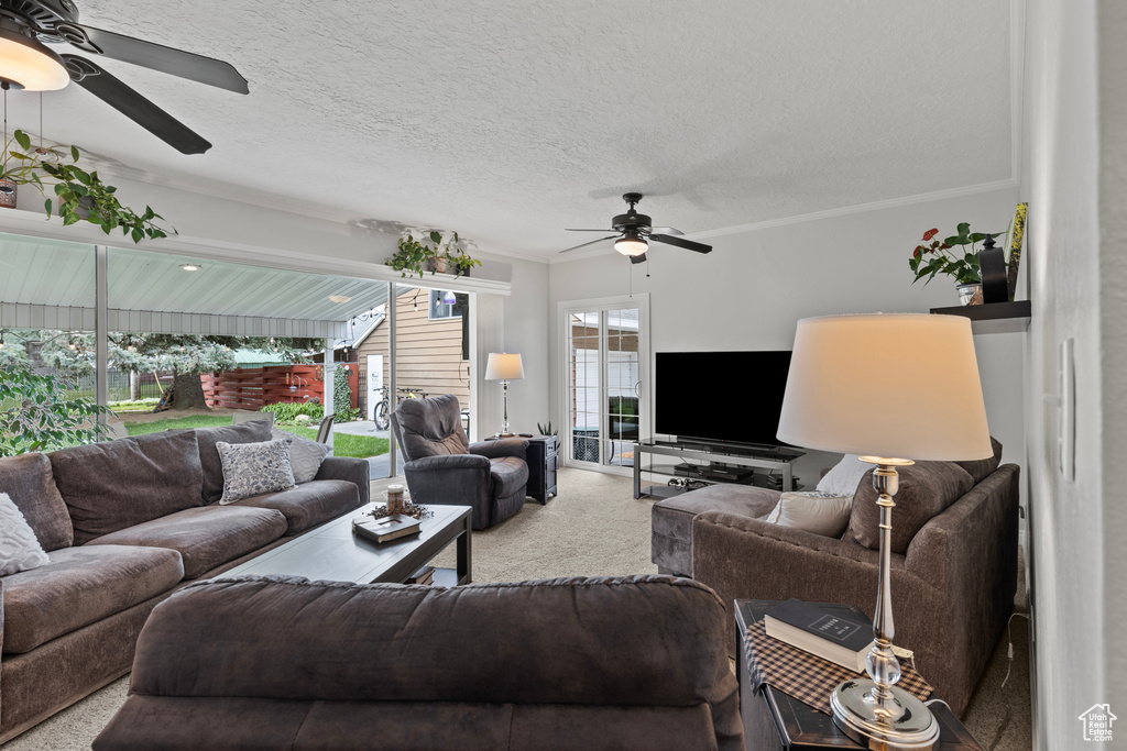 Living area featuring a ceiling fan, carpet, a textured ceiling, and ornamental molding