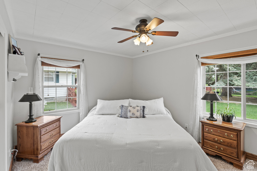 Bedroom featuring carpet flooring, a ceiling fan, and ornamental molding