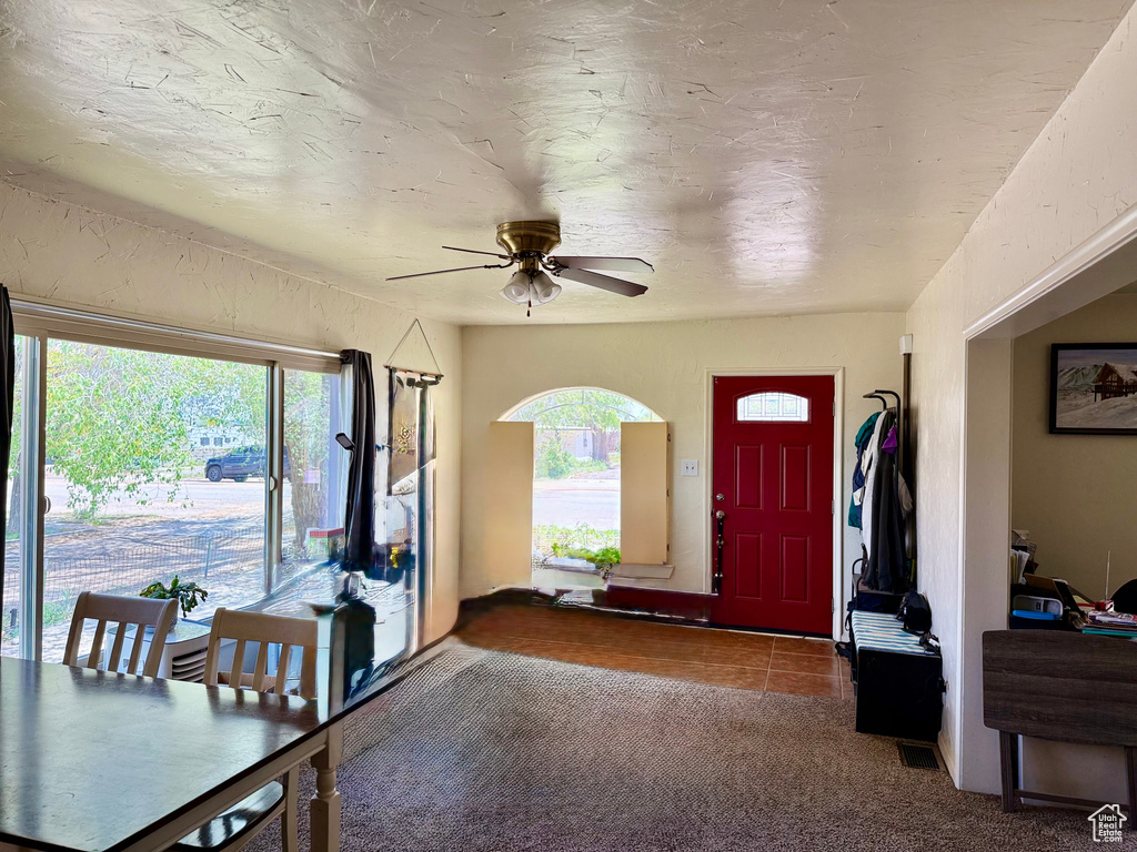 Entryway featuring healthy amount of natural light and ceiling fan