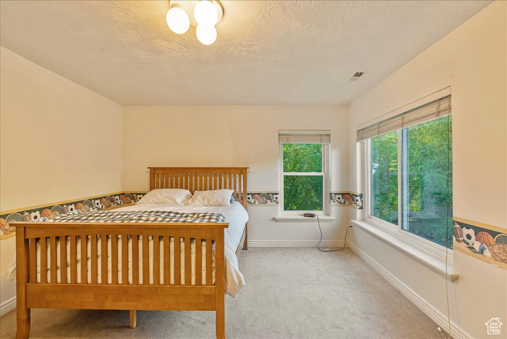 Bedroom featuring carpet floors, a textured ceiling, baseboards, and visible vents